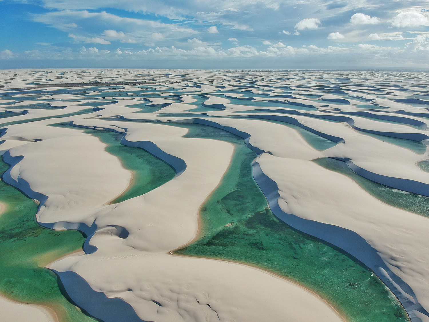 lençol maranhense